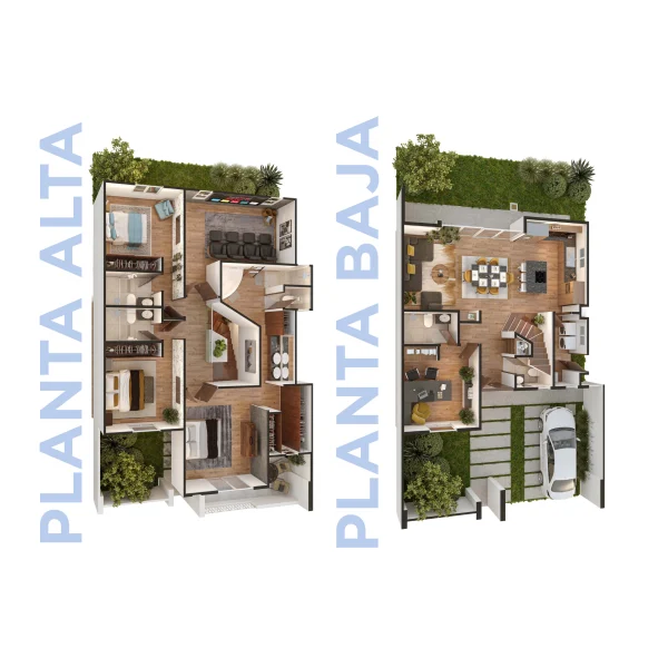 Plantas_Modelos_Malvasia